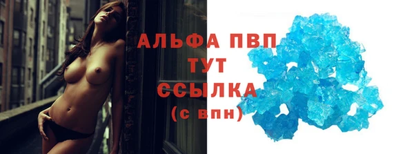 спайс Богданович