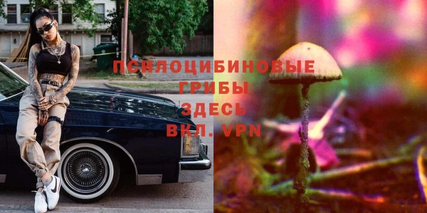 мефедрон Богородицк