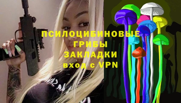 спайс Богданович