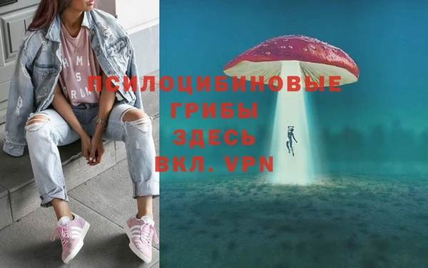 спайс Богданович