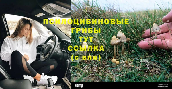 мяу мяу мука Богородск