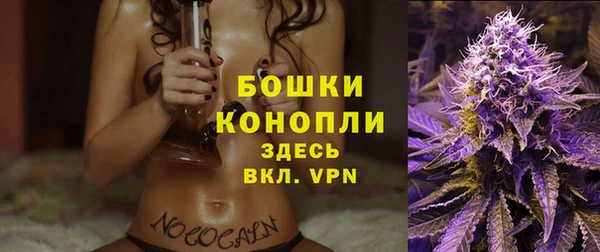 спайс Богданович