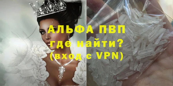 спайс Богданович