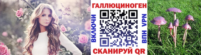 где найти   Крым  Галлюциногенные грибы Magic Shrooms 
